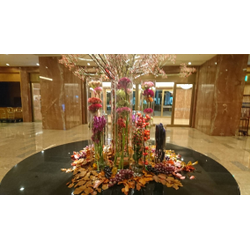 家事代行から専門清掃までお任せください！の画像2