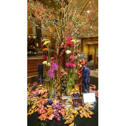 家事代行から専門清掃までお任せください！の画像1