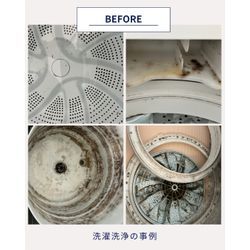 洗濯機、見えない汚れが沢山の画像2