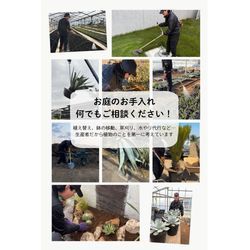 はじめまして！の画像1