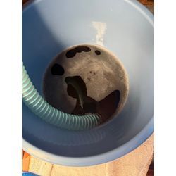 エアコンの汚れの画像1