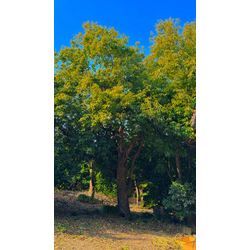 これからの時期はの画像1