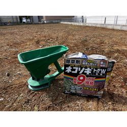 【上尾市】売地除草作業　2025年9月30日の画像2