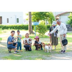 わんこ撮影の模様です！の画像2