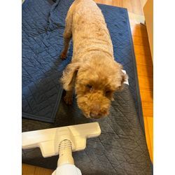 ビルトインコンロ取り替えの画像3