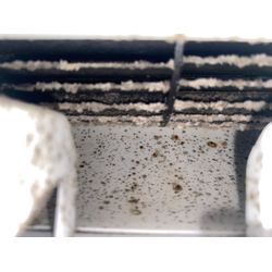 大阪市西区江戸堀でクマッペのエアコンクリーニング！夏を快適に過ごしましょう！の画像1