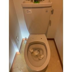 ウォシュレット交換の画像2