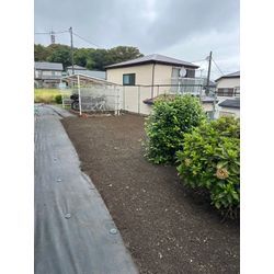 草刈り  草むしりの画像3