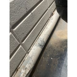 横浜市ネズミ駆除の画像1