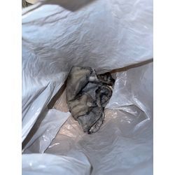 板橋区　パナソニックドラム式洗濯機　U11エラー！の画像3