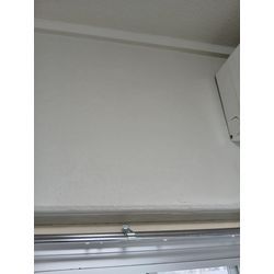 文京区・江東区・墨田区の壁紙カビ除去の画像2