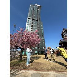 春のフォトウォークの画像1