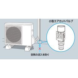 まだまだ暑いですね🥵の画像1