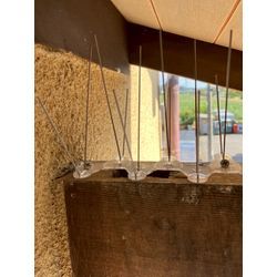 滋賀県にてハト被害防除対策を行いました。の画像2