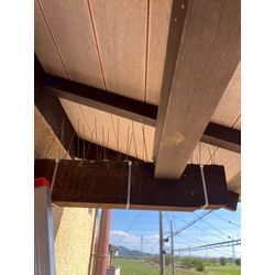 滋賀県にてハト被害防除対策を行いました。の画像1