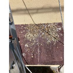 滋賀県にてハト被害防除対策を行いました。の画像3