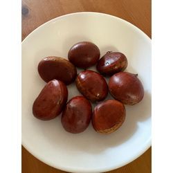 ドライヤーのかけ方提案1の画像1