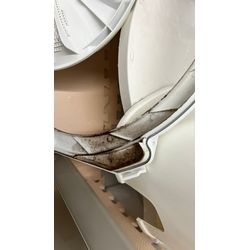 縦型洗濯機分解洗浄_Panasonic NA-FA80H6_神奈川県の画像2