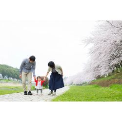 神奈川県秦野市平沢にある秦野市中央運動公園での🌸桜1stBirthday家族写真の撮影の画像2