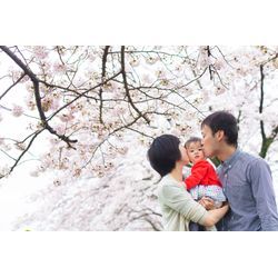 神奈川県秦野市平沢にある秦野市中央運動公園での🌸桜1stBirthday家族写真の撮影の画像1