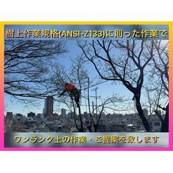 東京の伐採、特殊伐採はアドグリーン！！の画像1