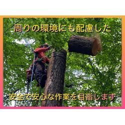 東京の伐採、特殊伐採はアドグリーン！！の画像2