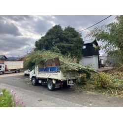 東近江市　竹林伐採の画像2