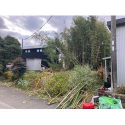 東近江市　竹林伐採の画像1