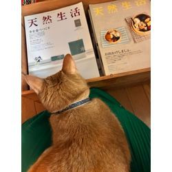 お片付けの画像1