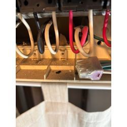 葛飾区鼠(ネズミ)駆除の画像1