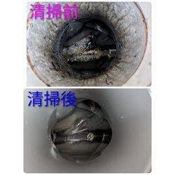 前橋市I様宅清掃の画像3