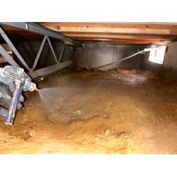 シロアリ予防の画像1