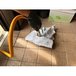 シロアリ予防の画像3