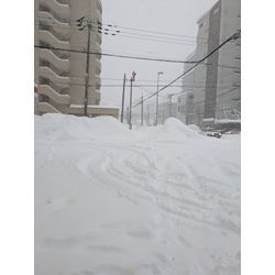 大雪の日に😰の画像1