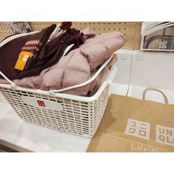 秋の穏やかな休日〜♪　〜群馬高崎の植木屋おやじブログ〜の画像3