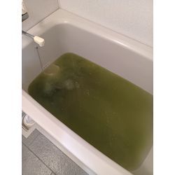 追い焚き配管・多機能換気扇クリーニングの画像1