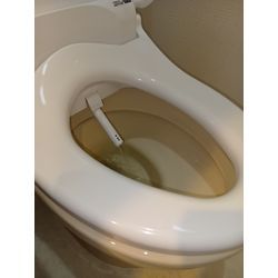 お風呂＋トイレクリーニングの画像3