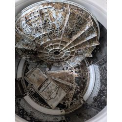 【奥様、緊急アラート！】カビが最も喜ぶ季節が来ます…その前に、洗濯機を「本当の」清潔にしませんか？の画像2