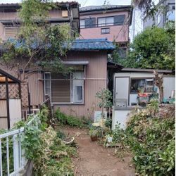 剪定・蔦取り・草むしりで明るいお庭に！！の画像2