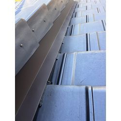 熊本市西区　イタチ　侵入対策　追い出し　駆除の画像3