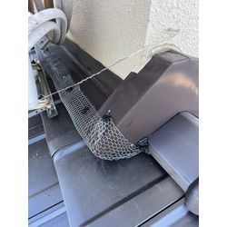 熊本市西区　イタチ　侵入対策　追い出し　駆除の画像1