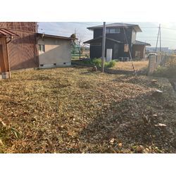 東近江市　伐採廃棄の画像3