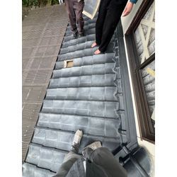 害獣調査　長崎県佐世保市の画像1