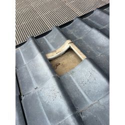 害獣調査　長崎県佐世保市の画像2