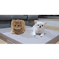 はじめまして！の画像1