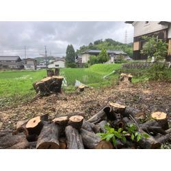 生駒市　伐採の画像2