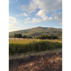 秋の前撮りの画像1