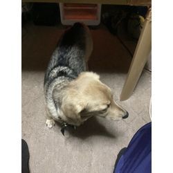 まるぞう社長の画像3