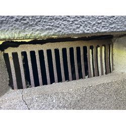 千葉県浦安市ネズミ駆除の画像1