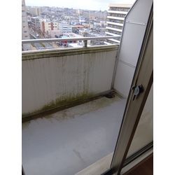 結露防止シートのフィルムのり剥がしの画像2